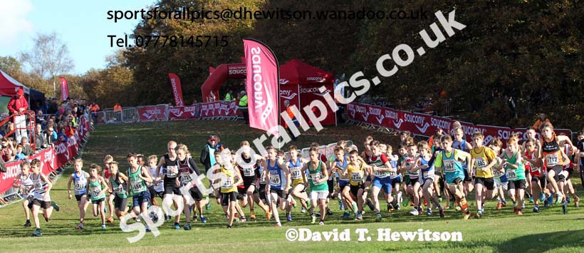 Boys under-13s National Cross Country Relays. Photo: David T. Hewitson/Sports for All Pics